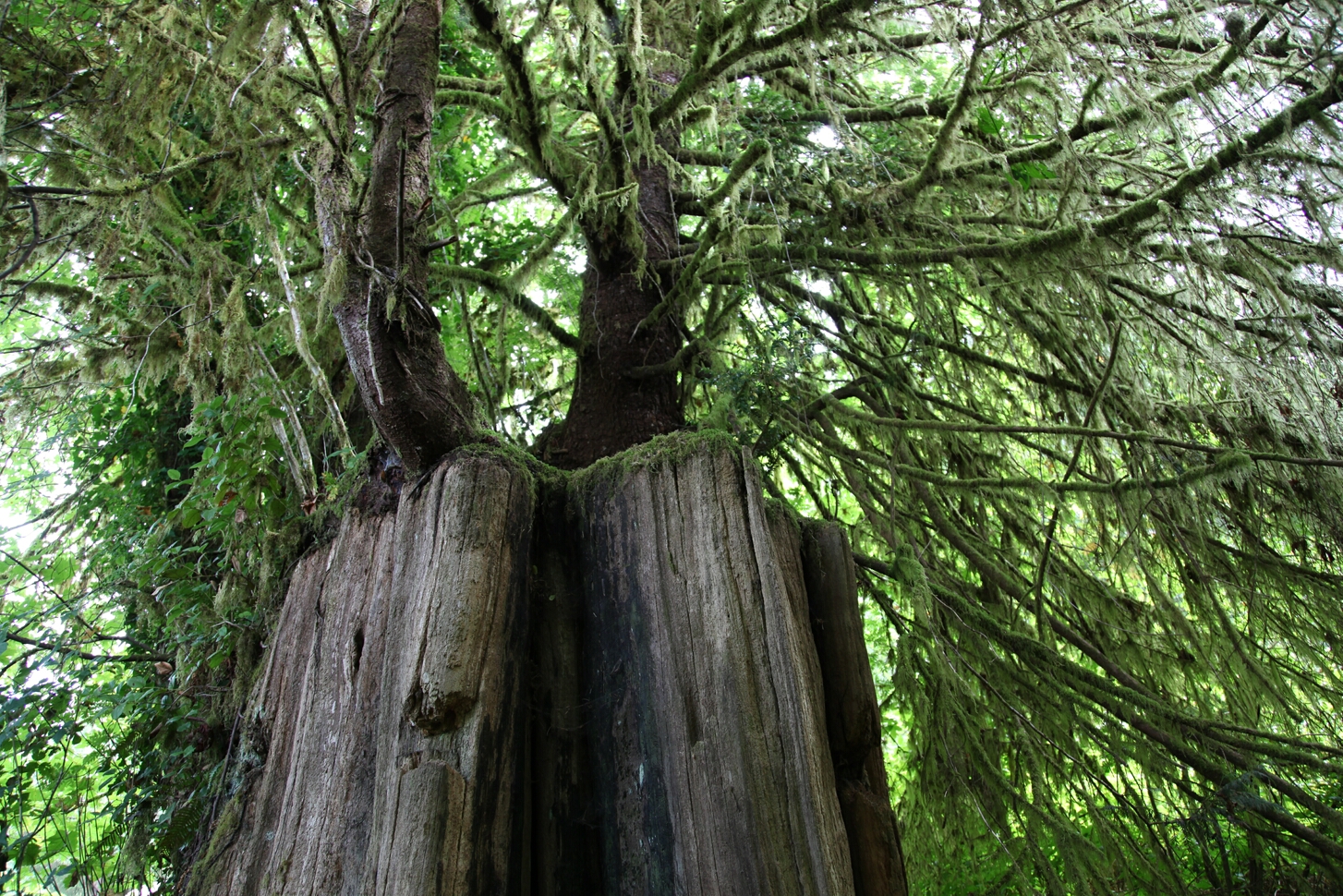 Click to See Next Image