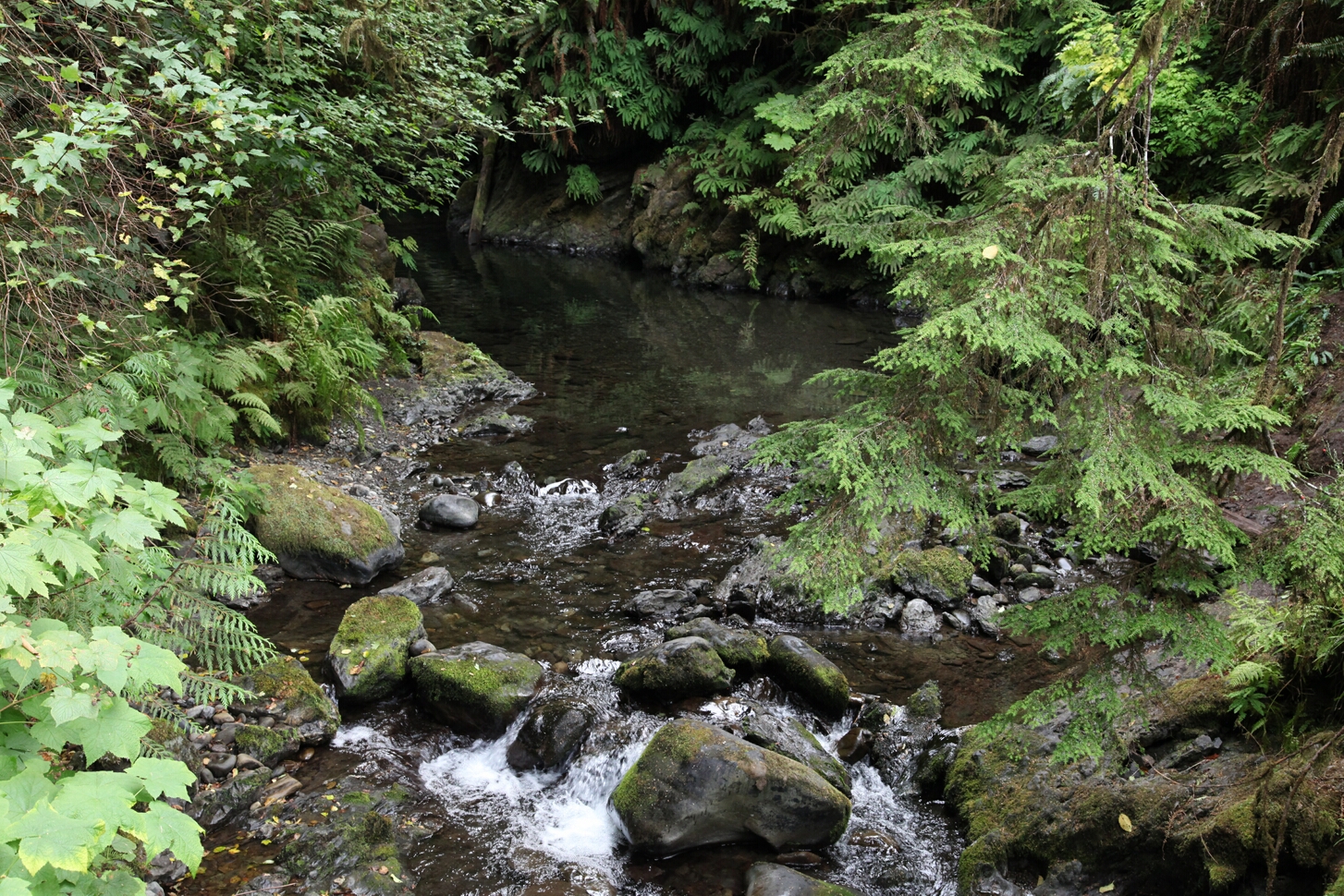 Click to See Next Image