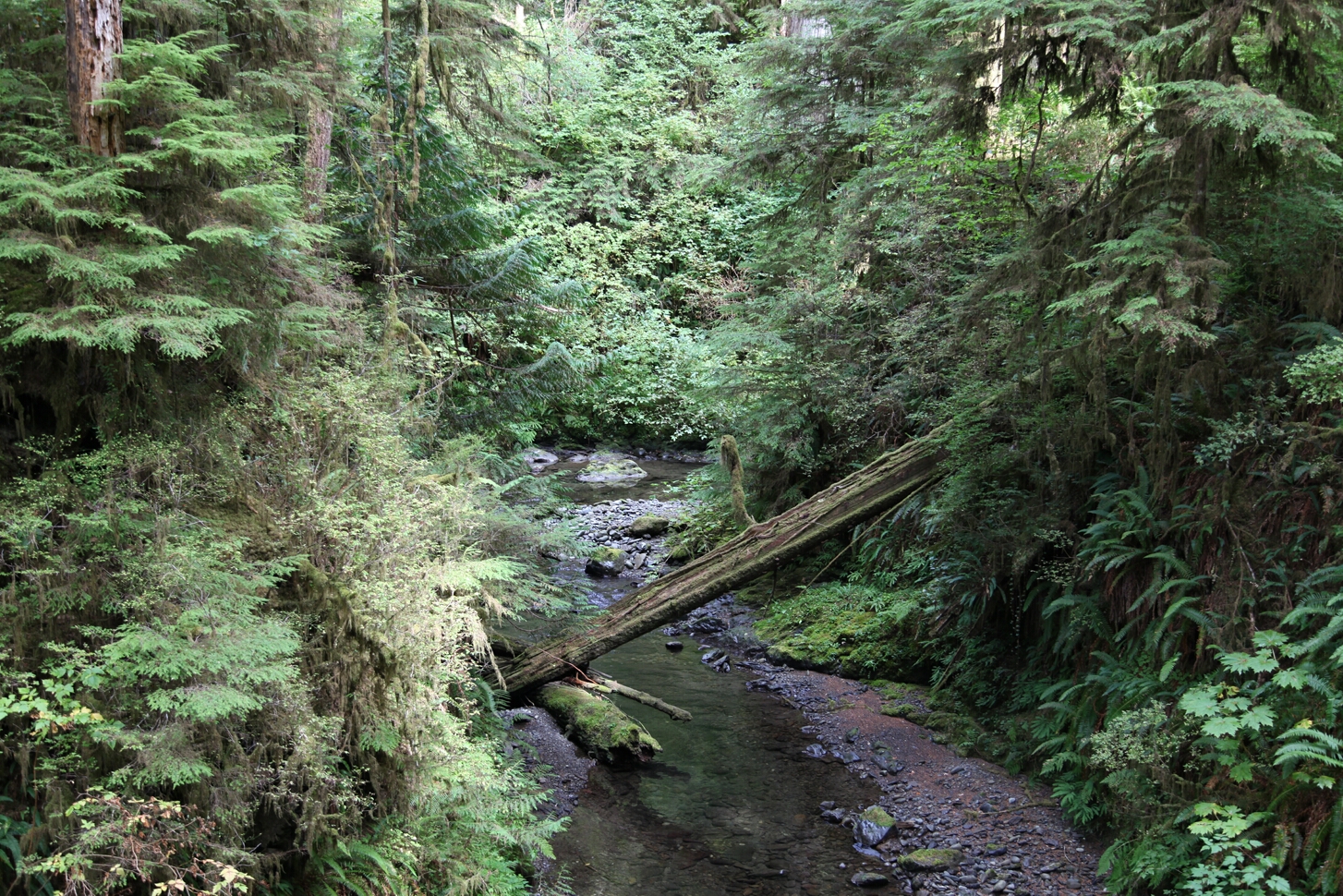 Click to See Next Image