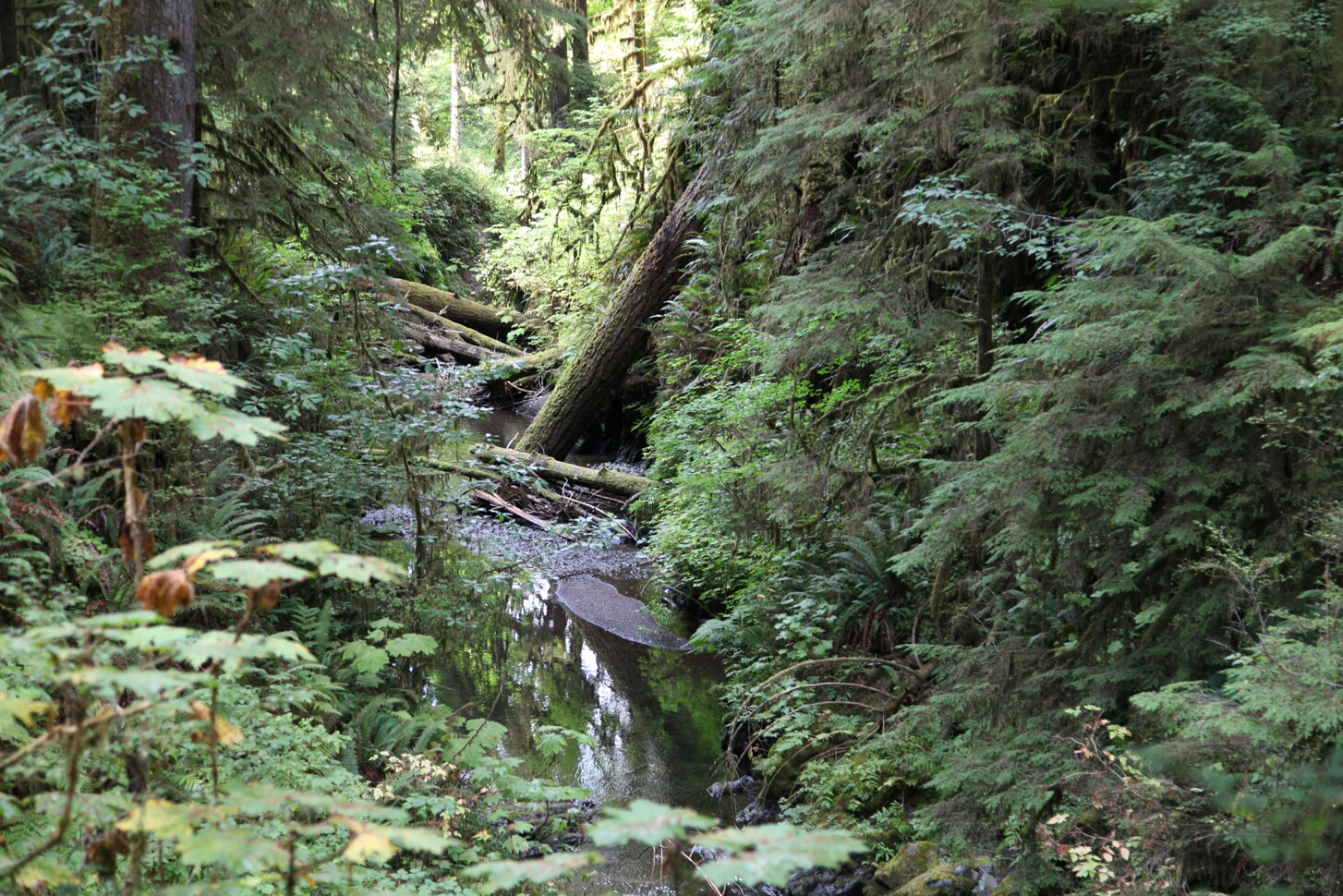 Click to See Next Image