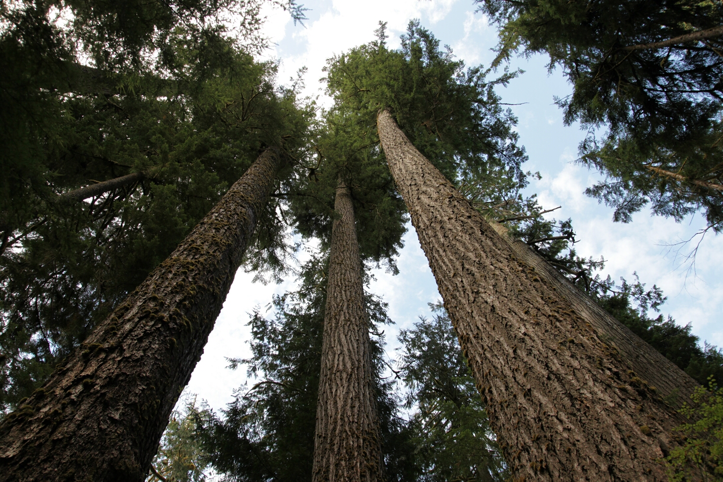 Click to See Next Image