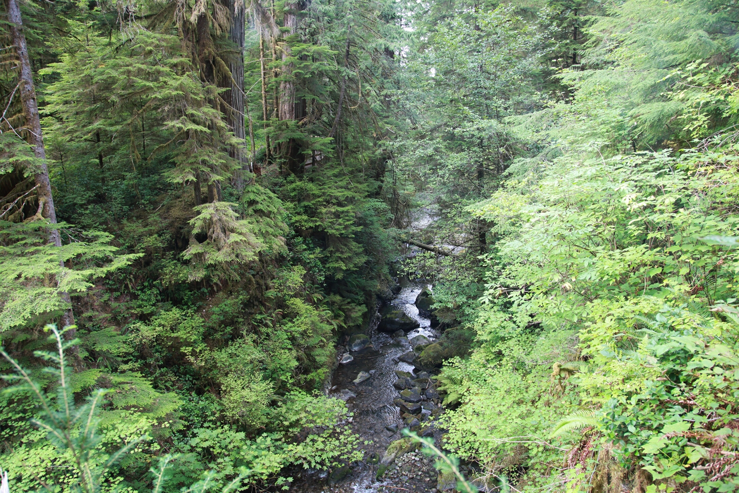 Click to See Next Image