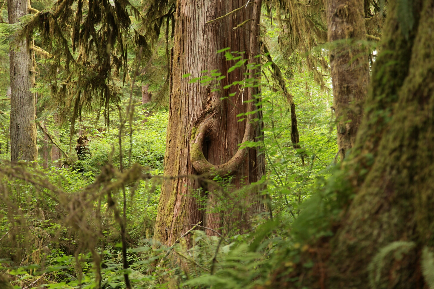 Click to See Next Image