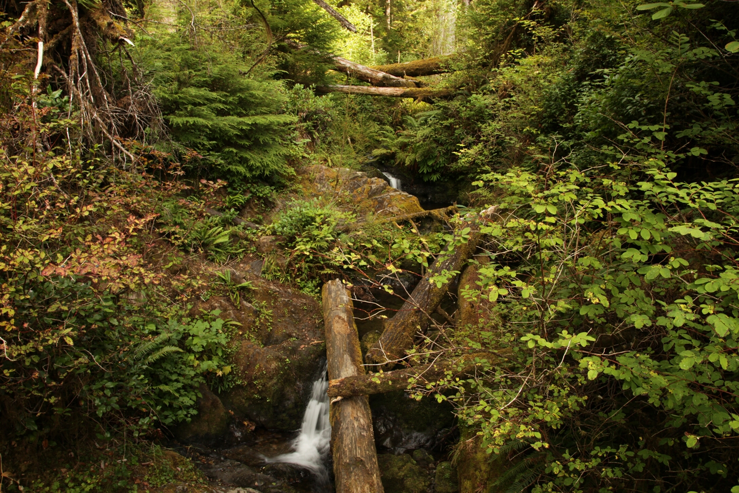 Click to See Next Image