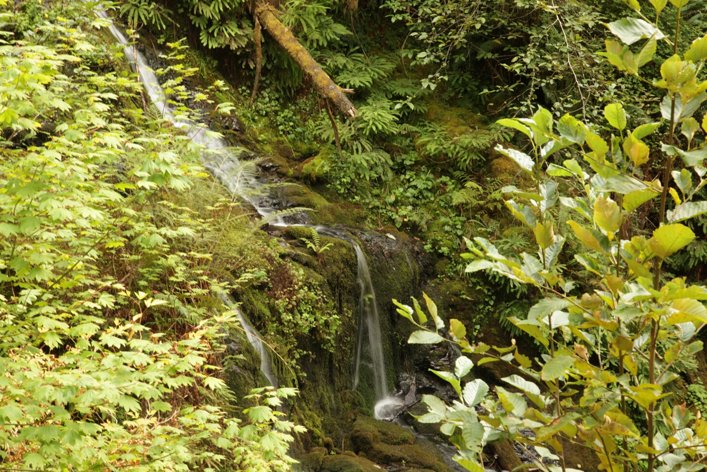 Click to See Next Image