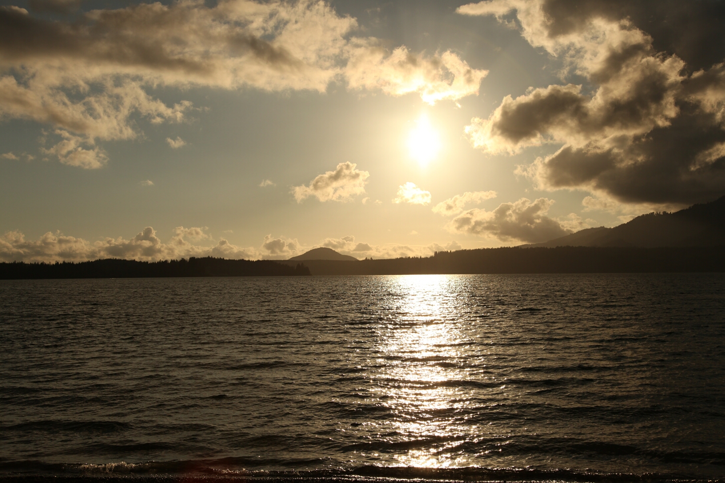 Click to See Next Image