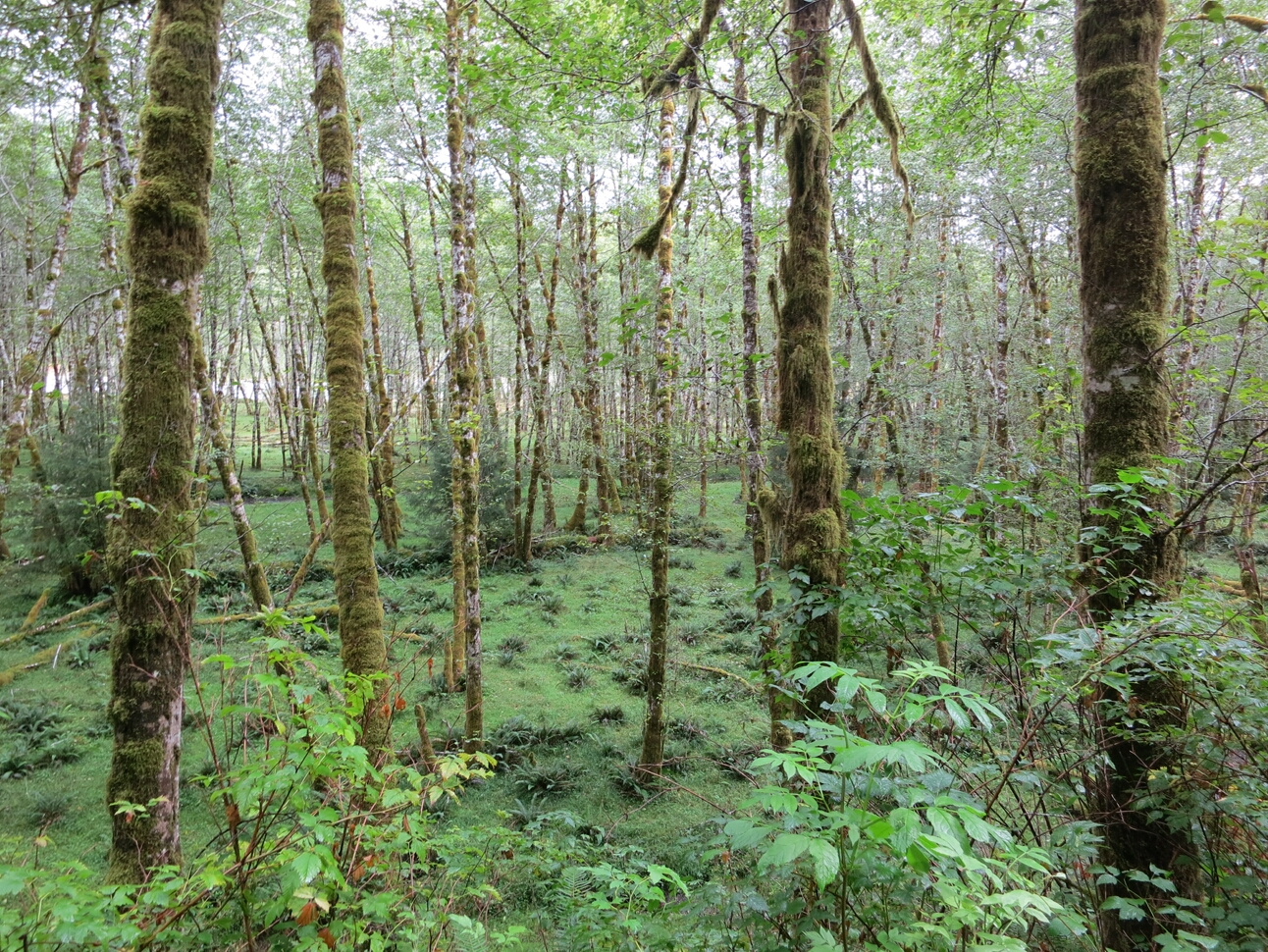 Click to See Next Image