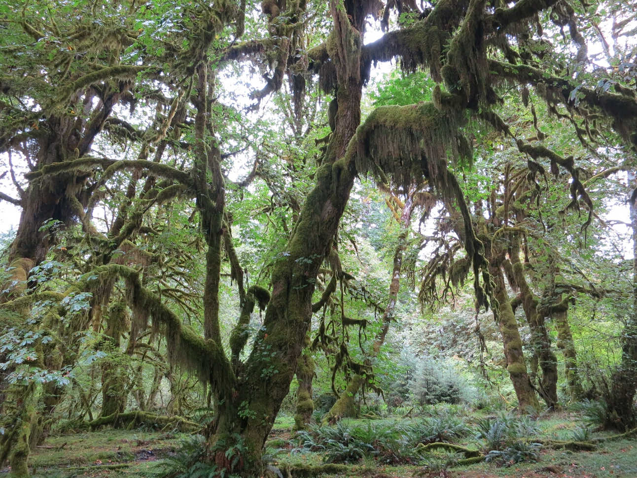 Click to See Next Image