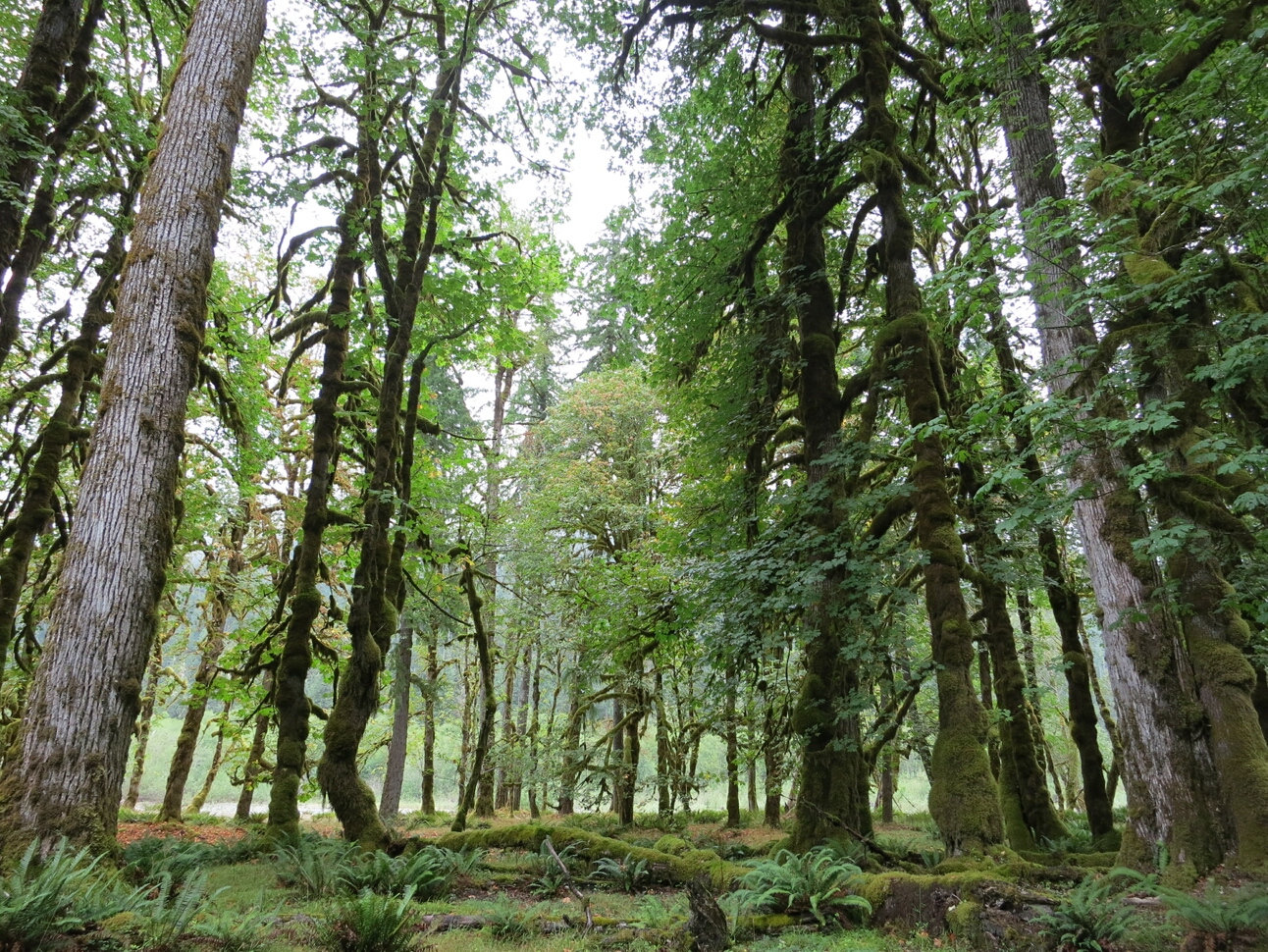 Click to See Next Image