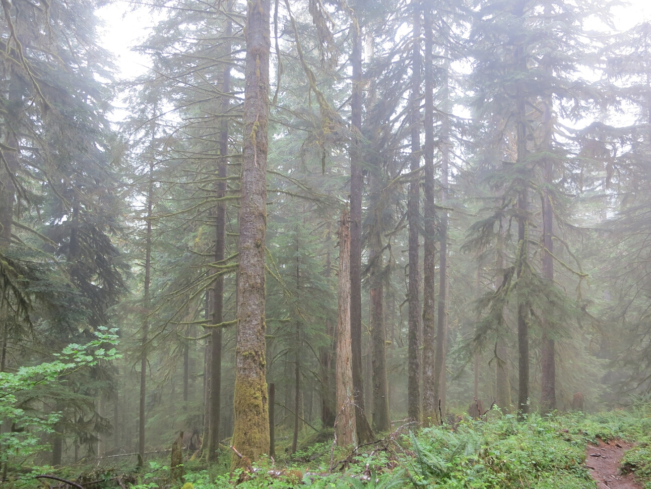 Click to See Next Image