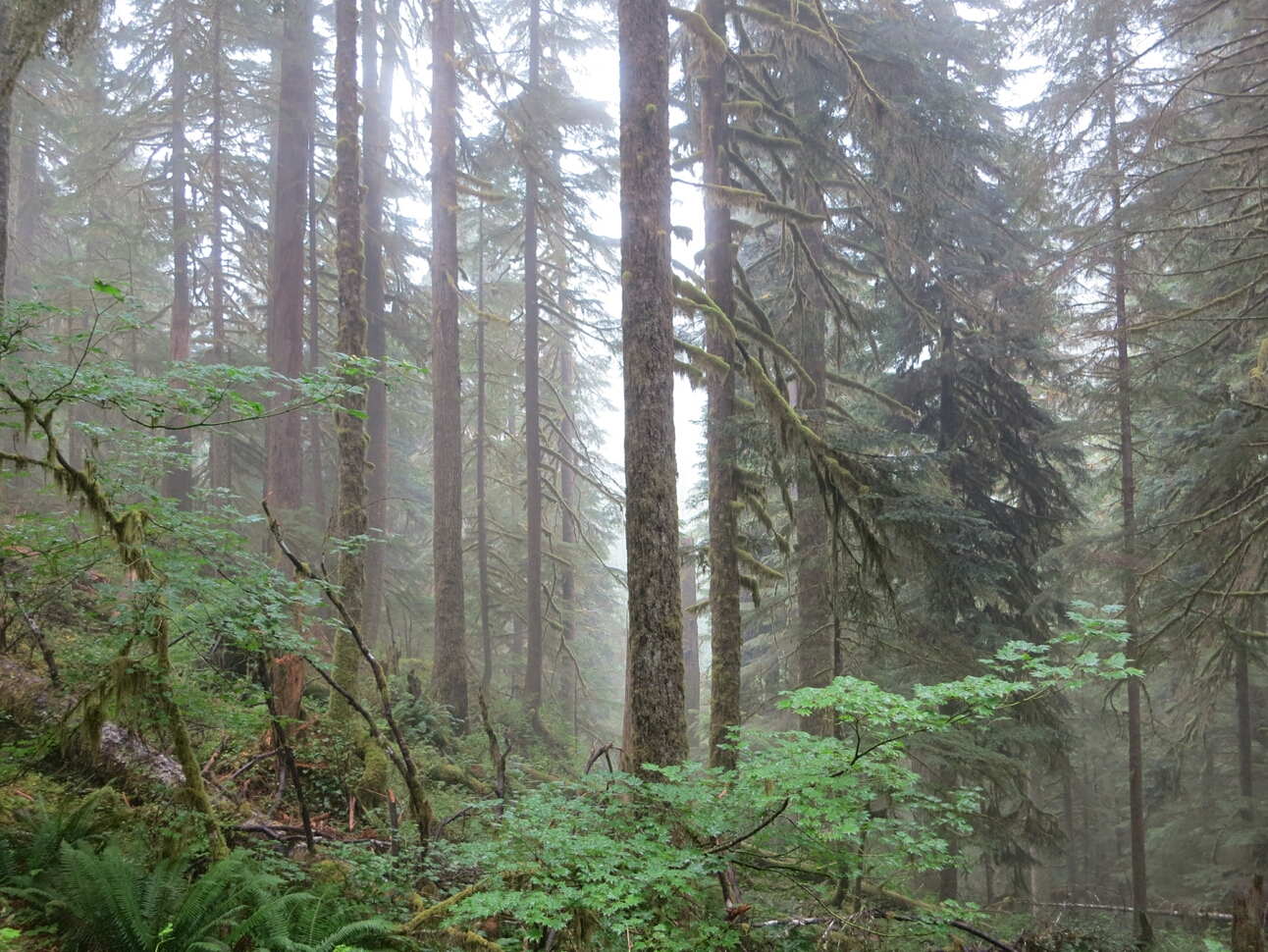 Click to See Next Image