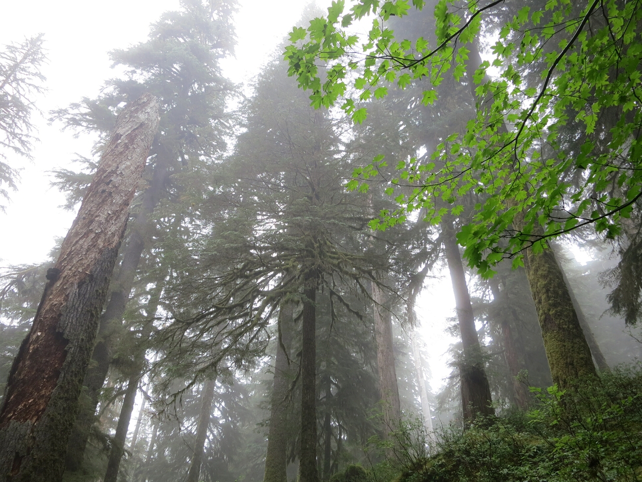 Click to See Next Image