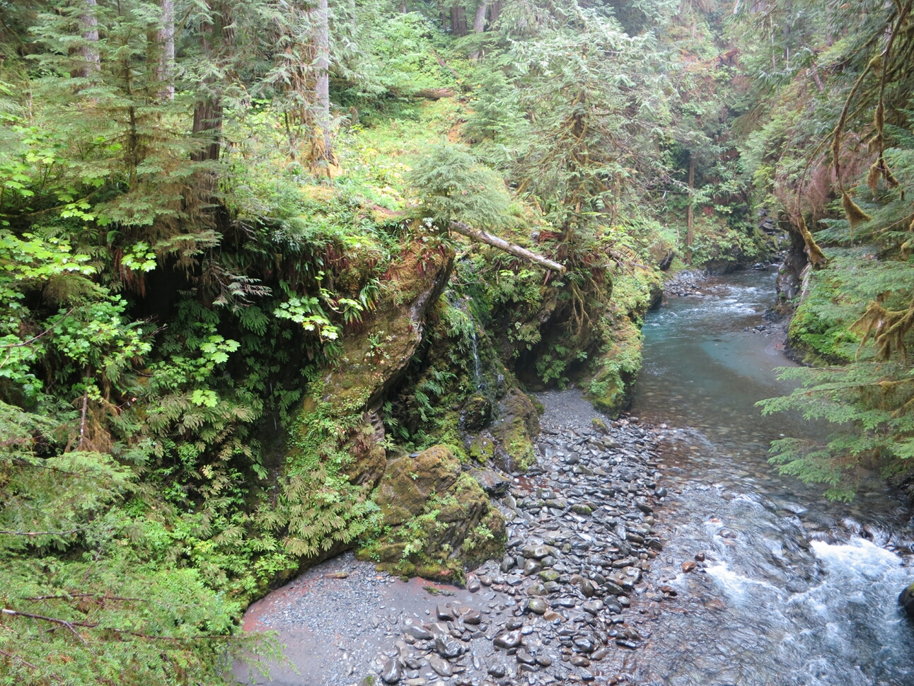 Click to See Next Image