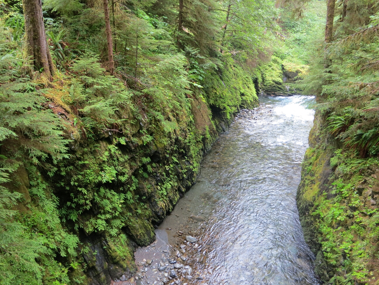 Click to See Next Image