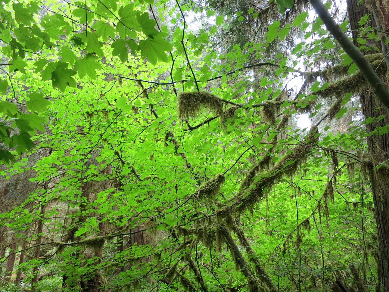 Click to See Next Image