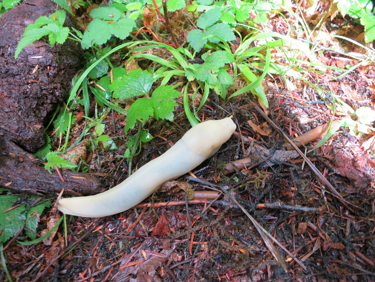 Click to See Next Image