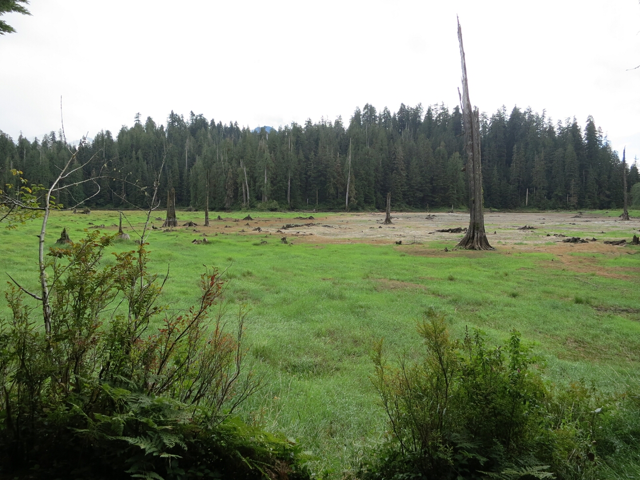 Click to See Next Image