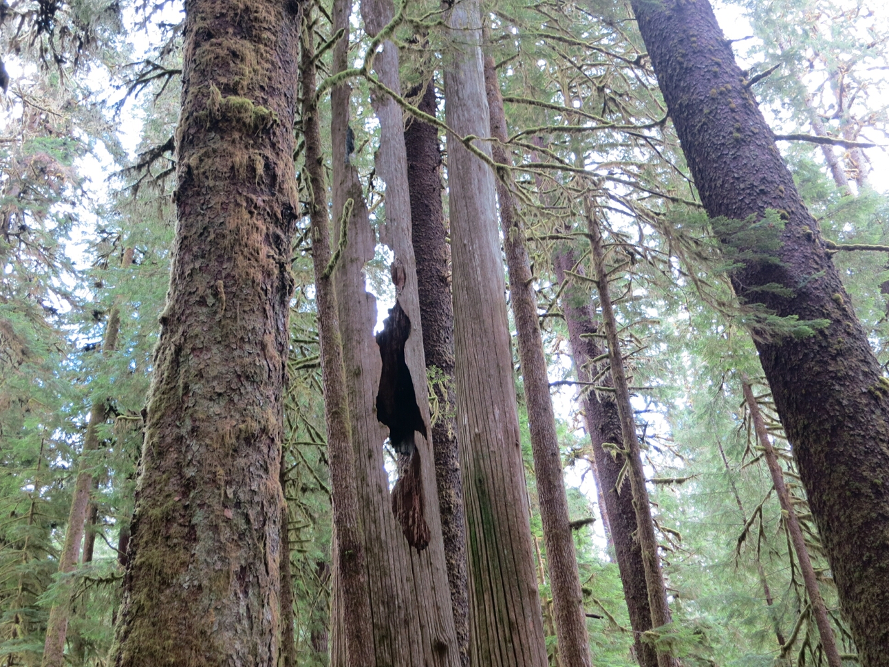 Click to See Next Image