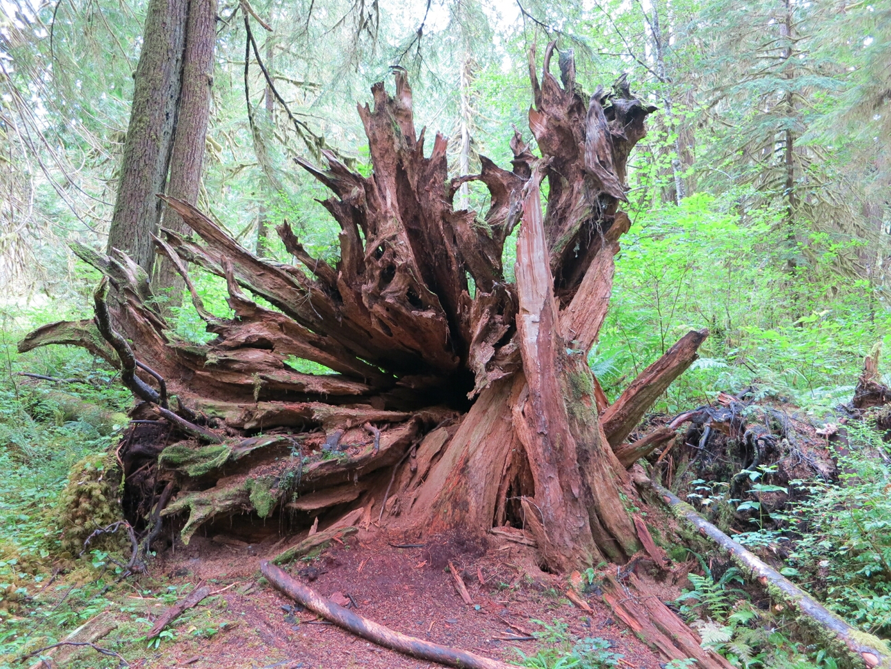 Click to See Next Image