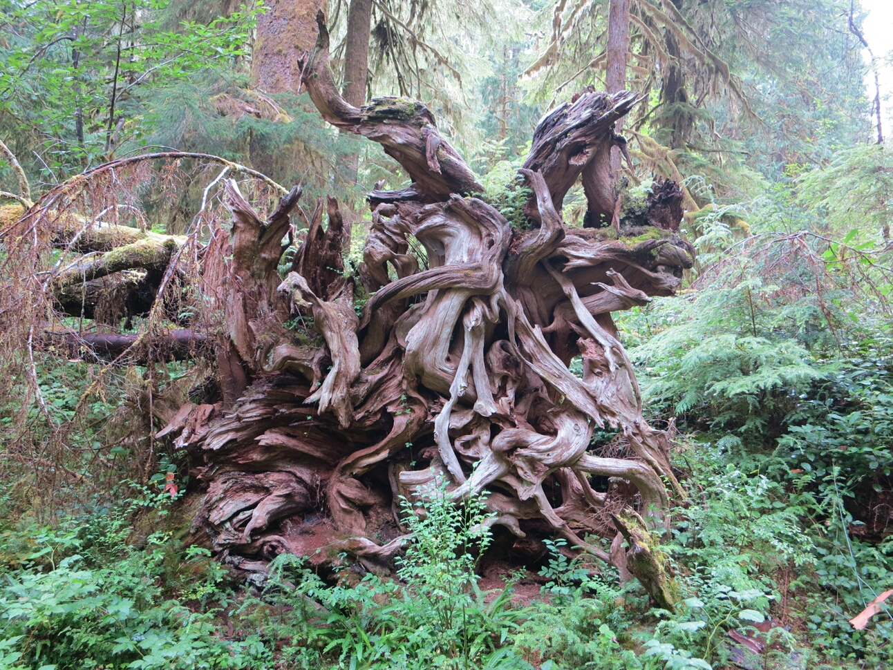 Click to See Next Image