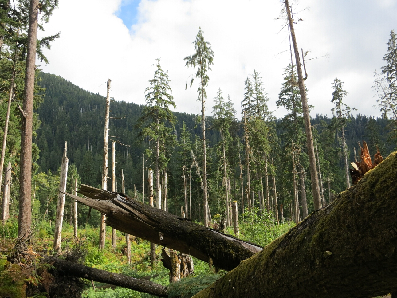 Click to See Next Image