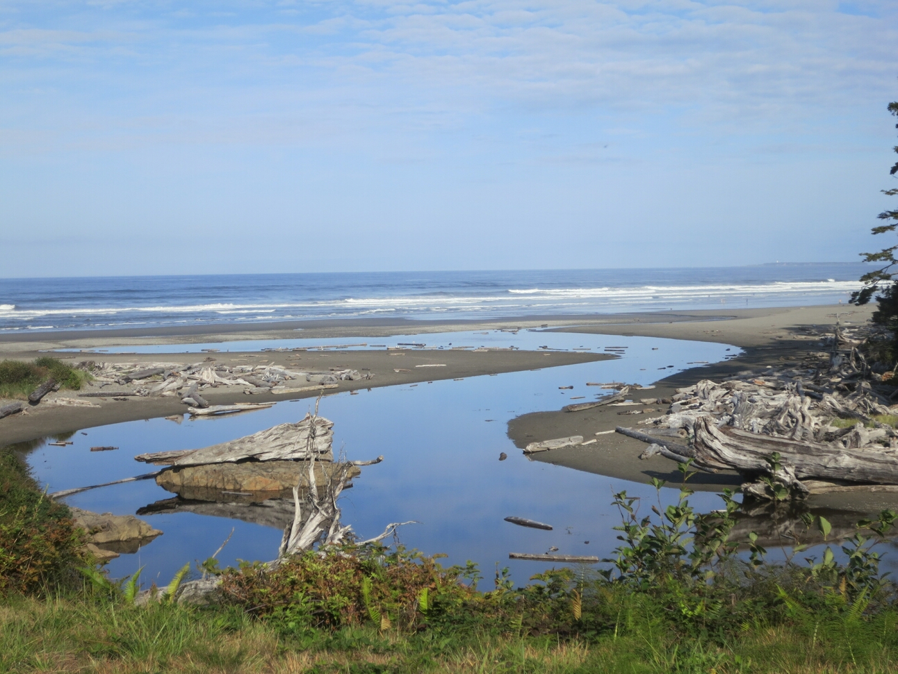 Click to See Next Image