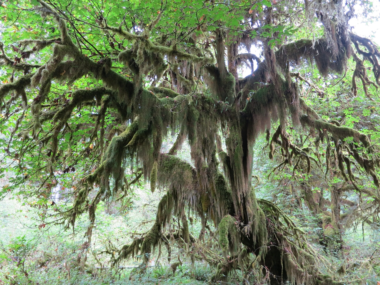 Click to See Next Image