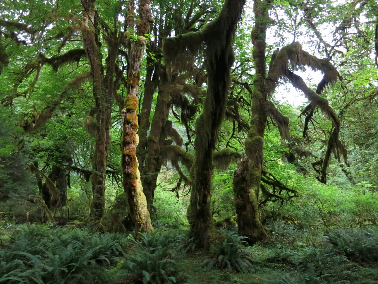 Click to See Next Image