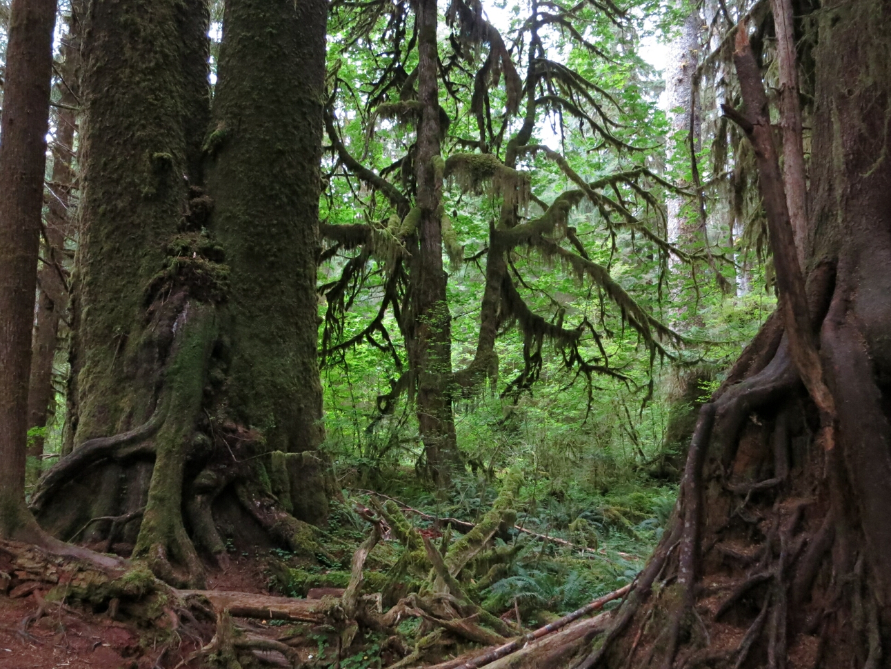 Click to See Next Image