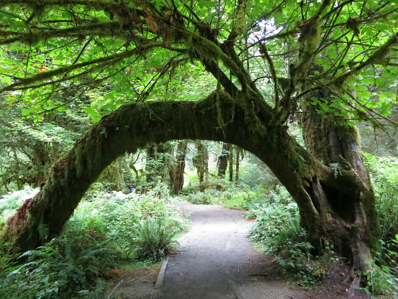 Click to See Next Image