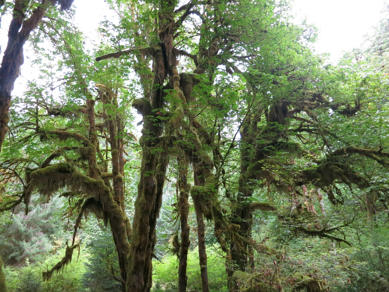 Click to See Next Image