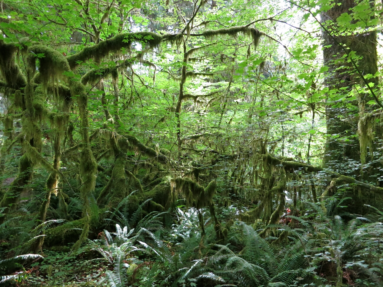 Click to See Next Image