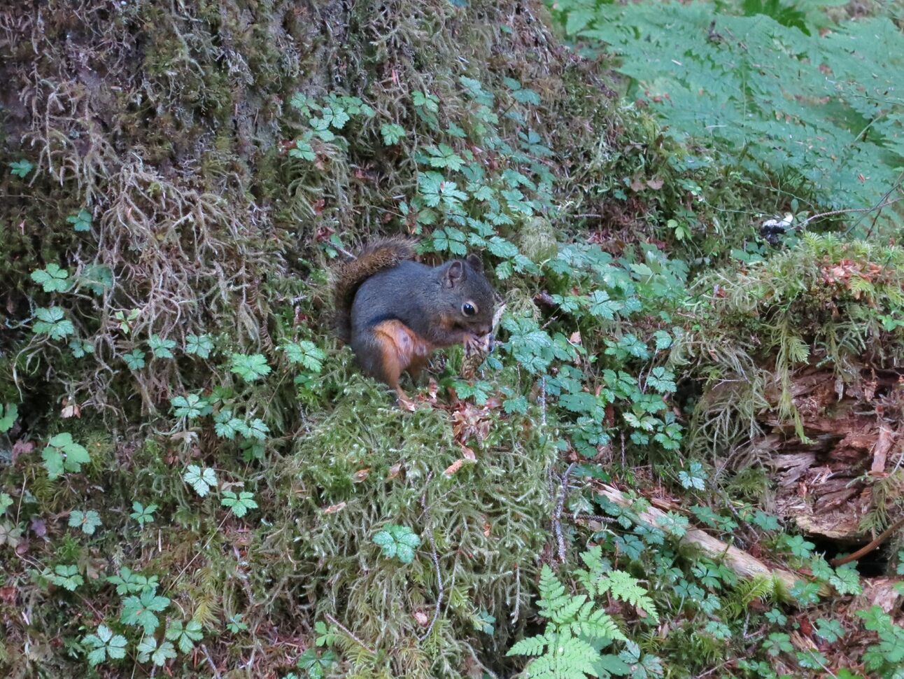 Click to See Next Image