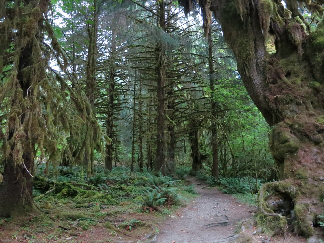 Click to See Next Image