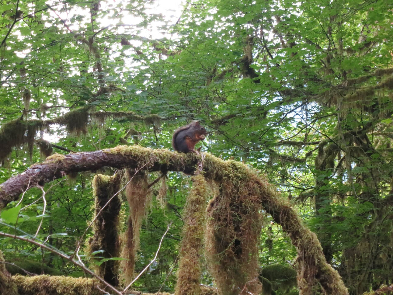 Click to See Next Image