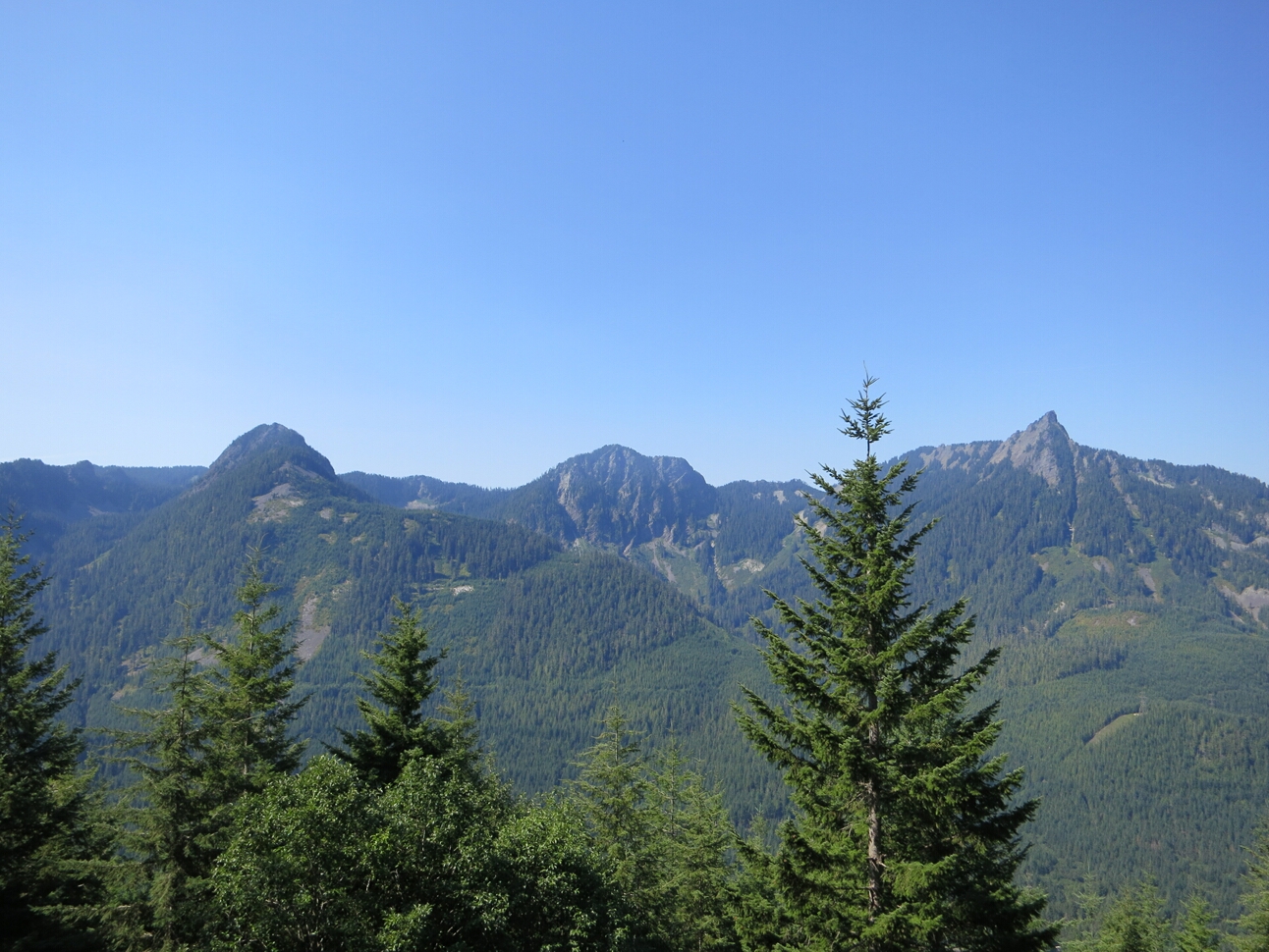 Click to See Next Image