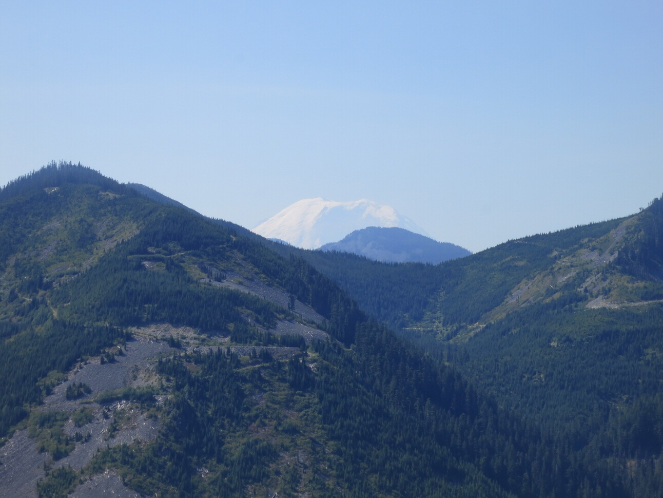 Click to See Next Image