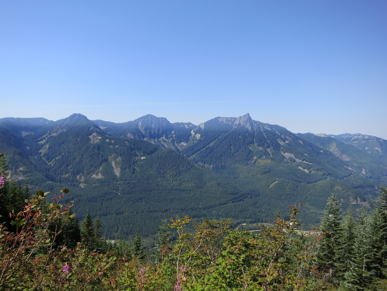 Click to See Next Image