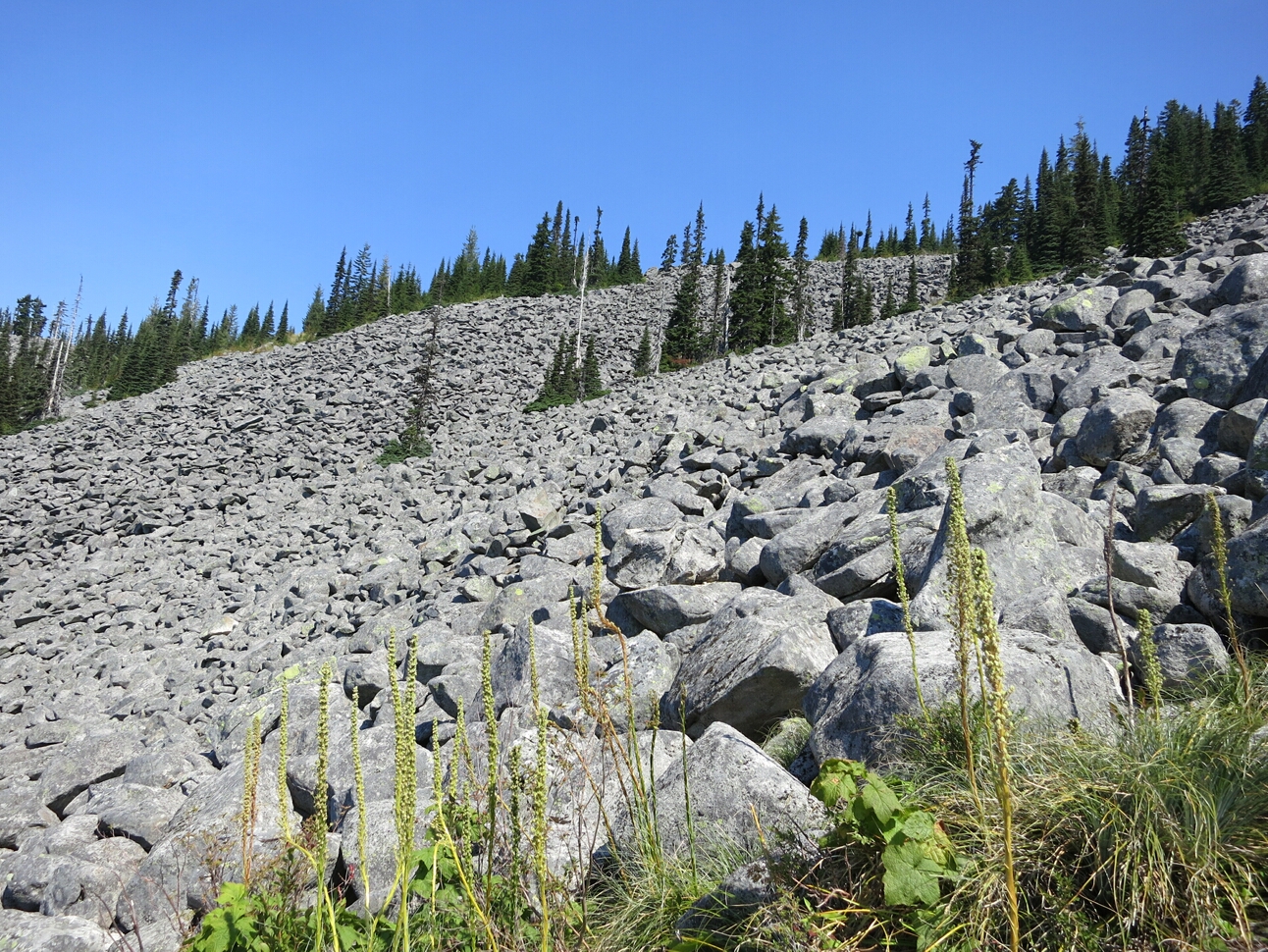 Click to See Next Image