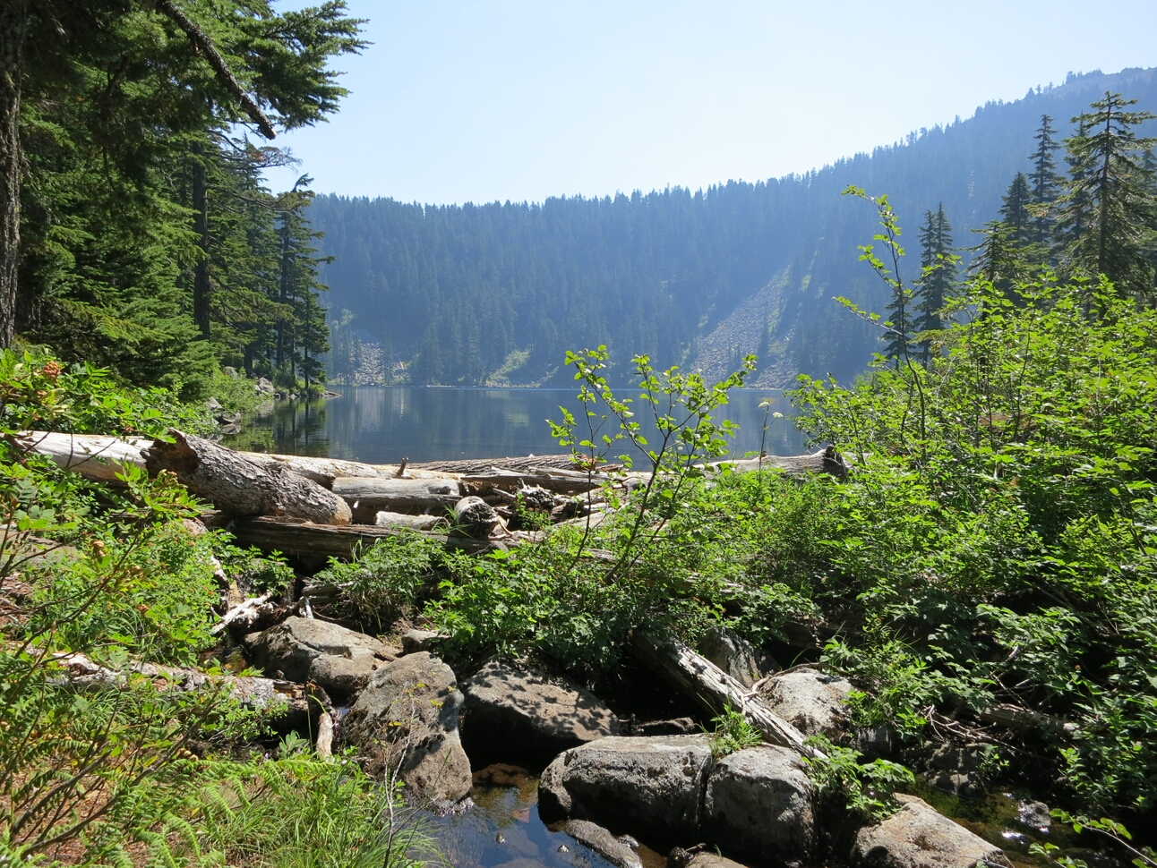 Click to See Next Image