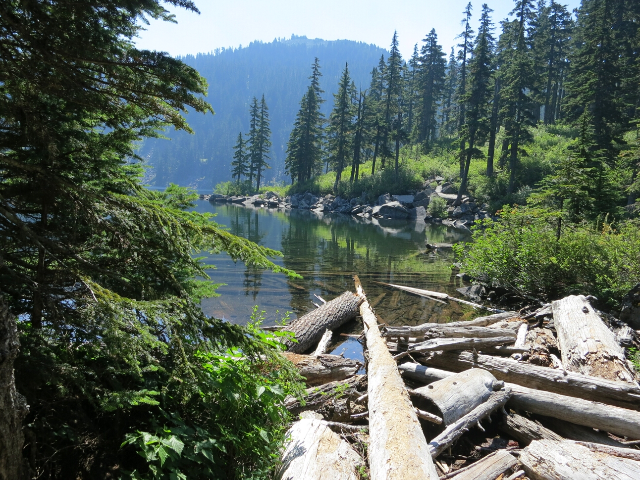 Click to See Next Image