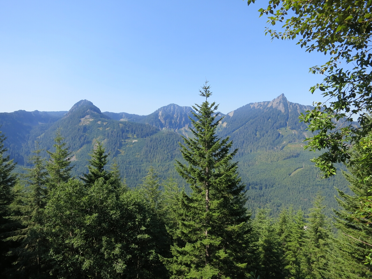 Click to See Next Image