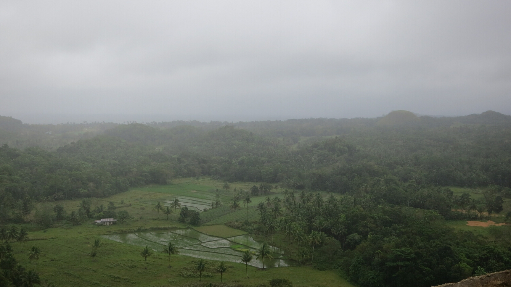 Click to See Next Image