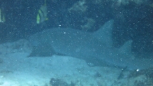 Click to Enlarge