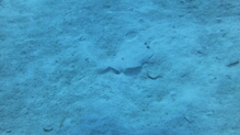 Click to Enlarge