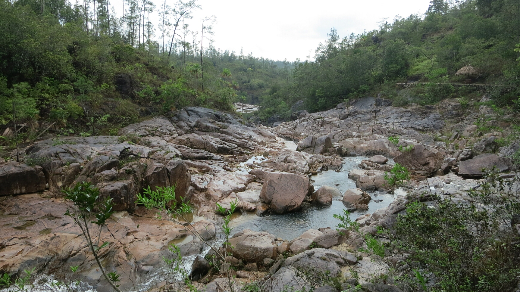 Click to See Next Image