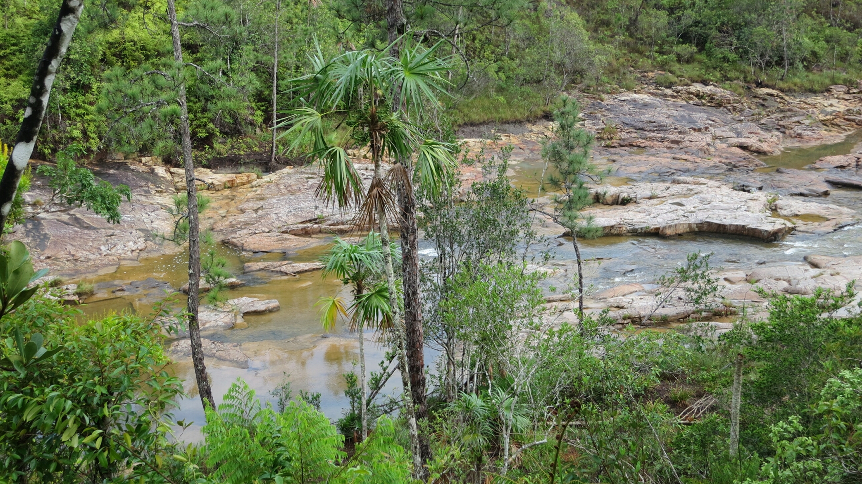 Click to See Next Image