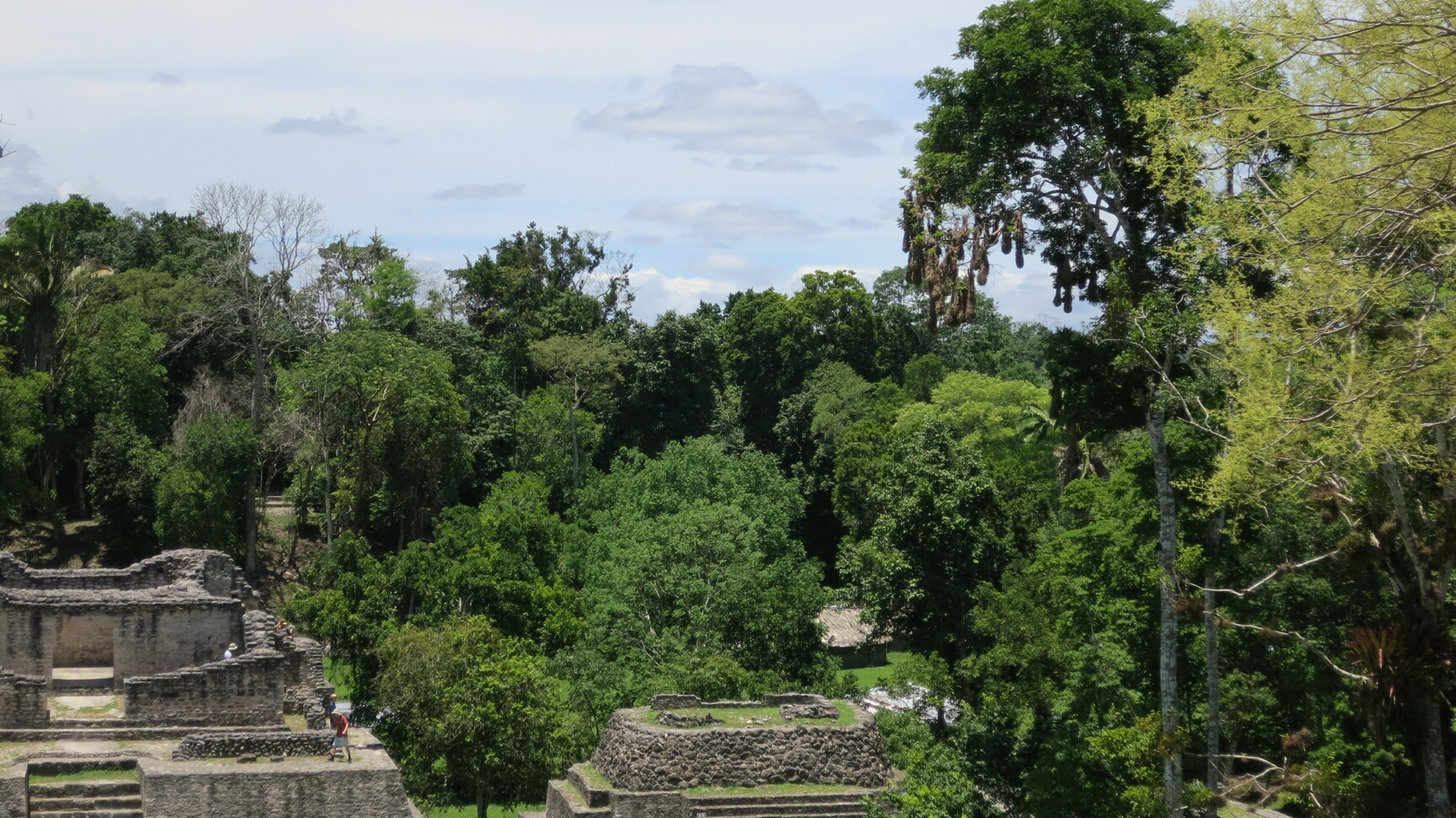 Click to See Next Image