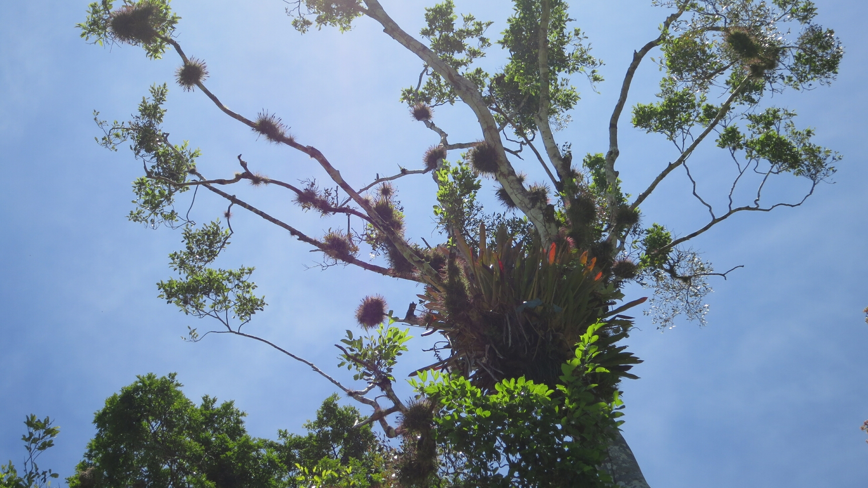 Click to See Next Image