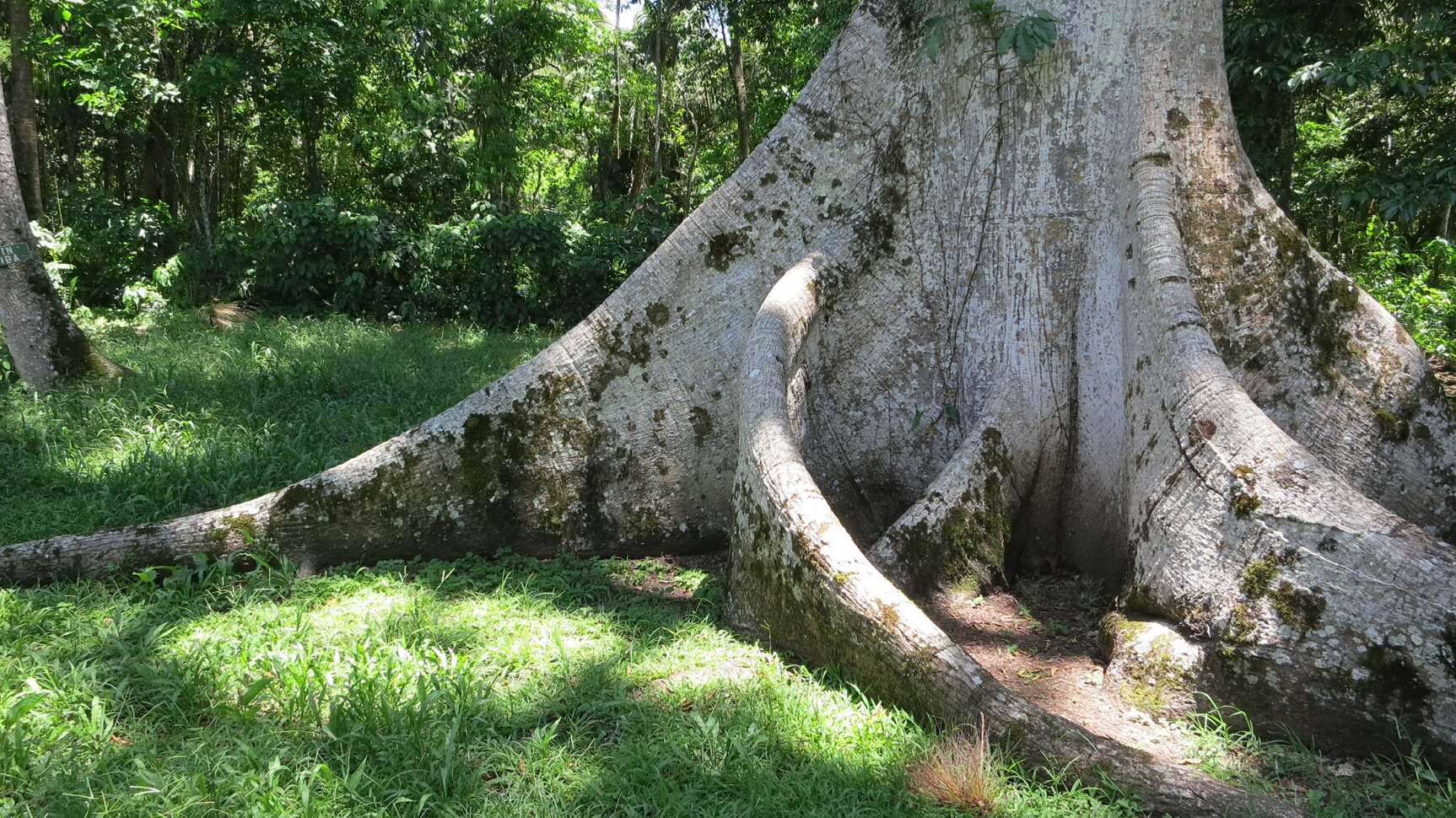 Click to See Next Image